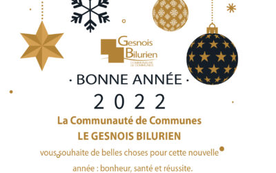 Bonne année 2022