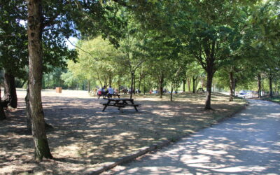 Balade au Parc des Sittelles à Montfort-le-Gesnois