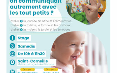 Stage bébés-signeurs