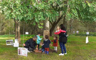 Relais Petite Enfance – Retour sur les temps forts Art et Nature