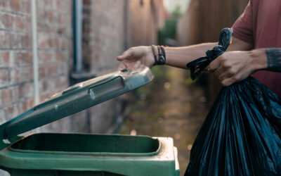 PLAN LOCAL DE PRÉVENTION DES DÉCHETS MÉNAGERS ET ASSIMILÉS 2025 -2030 DU SYVALORM
