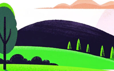 Rapport d’activité 2024